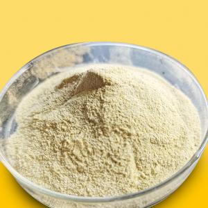 China Delaying Aging α-Amylase Fungal Alpha Amylase For Bread Making factory