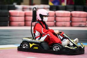 China Pedal Karting Electric Go Kart For Kids , 750w Adult Mini Go Kart factory