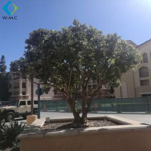 China Green Plastic Olive Tree Large Size For Garden Customized Design factory
