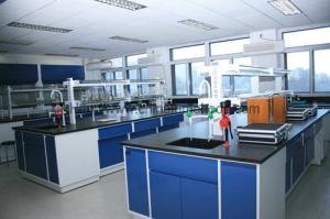 China Customized Steel Lab Furniture , Laboratory Desk Furniture With Reagent Rack factory
