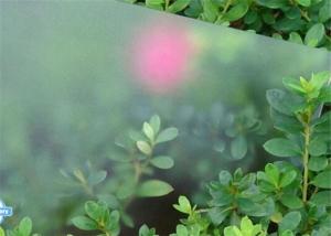 China Patterned Solar Panel Glass / Low Iron Tempered Glass For Solar Panels CE Approved factory