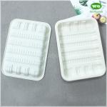 Eco-Friendly Bioplastic Meal Tray Variety Of Sizes Available-Manufacturer And