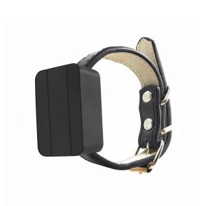 China 1200Mah Real Time GPS Location Tracker 2G 4G LTE Mini Children Pet Cat GPS Tracker factory