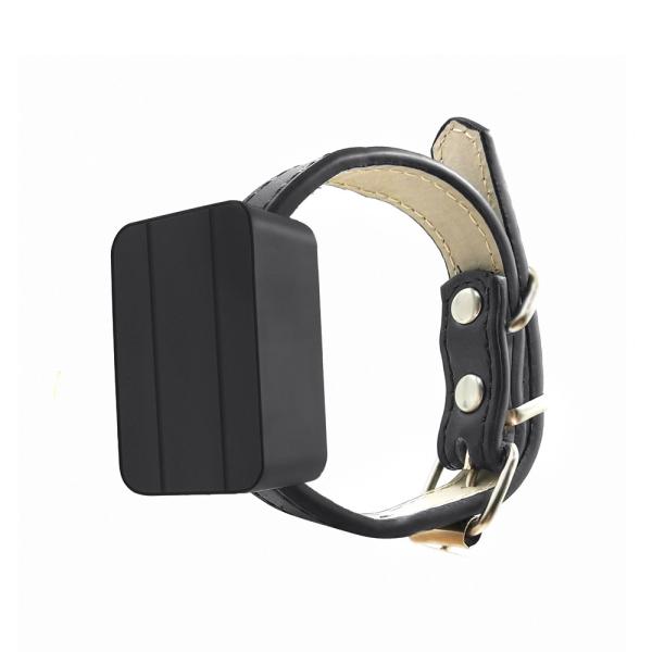 CJ230 CJGPS Real Time Waterproof Animal Tracker Collar , Black Animal GPS
