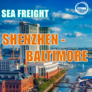 China Direct line Sea Freight Logistics From Shenzhen China To Baltimore US 35 days factory