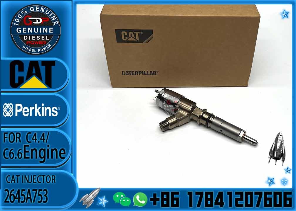 Diesel Fuel Injector 2645A753 2645A746 2645A749 2645A747 10R-7671 10R-7672 2645A718
