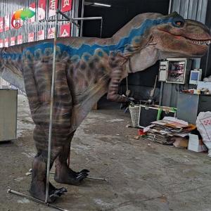 China Customized Detachable Animatronic Dinosaur Costume For Theme Park Decoration factory
