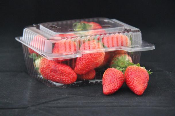 Plastic Folding Box for Fruits