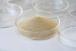 Immobilized Lipase, Industrial Enzyme, Bioenergy Enzyme
