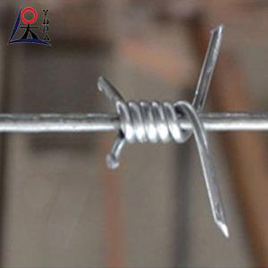 China 3 Strand Security Barbed Wire Single 14 Gauge Galvanized Fence Rolls Barbed Wire factory