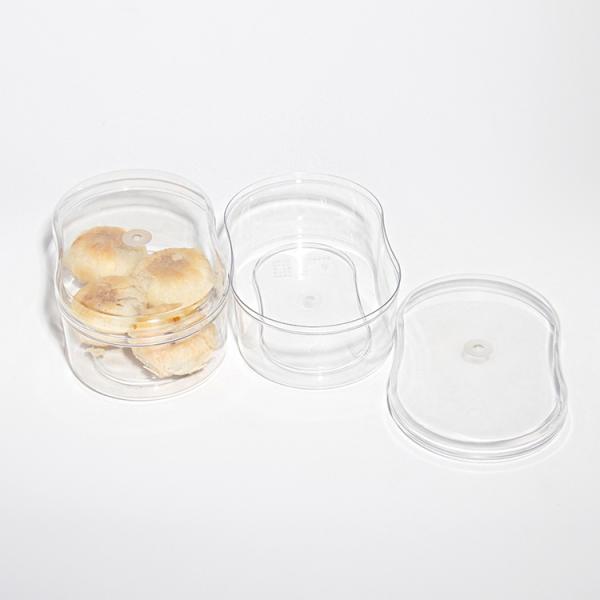 Custom Food Grade Transparent Gift Box U Shape PET Cupcake Packaging Boxes