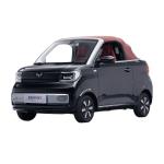 2024 Wuling Micro EV 3 Door 2 Seat Electric Car with 13.8kwh Battery Capacity