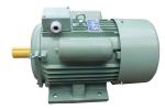 Easy Operation Single Phase Induction Motor For Electric Machine Driving YC132M