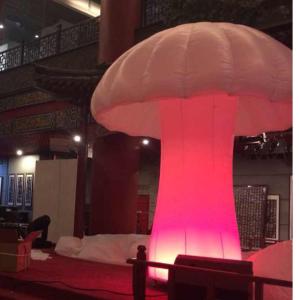 China Customized chinese new year inflatables mushroom factory