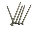 1in Flat Head Diameter Carbon Steel Iron Wire Nails for Wood Furniture Roofing