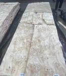Natural Sliced Cut Poplar Burl Veneer Sheets A Grade For Furniture Decoration
