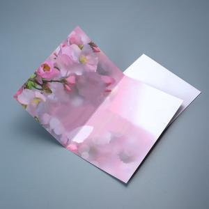 China High Quality Gift Card Factory Wholesale Custom Printing 3D Motion Effect Lenticular Card factory