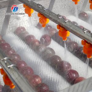 Revolutionize Your Production Process with Our Fruit And Vegetable Processing