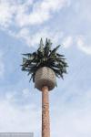 ChangTong Camouflaged GSM Antennas Mobile Cell Tower