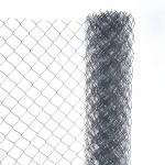Professional Manufacture Promotion Price 5Ft 6Ft 2M 3M Galvanized Chain Link