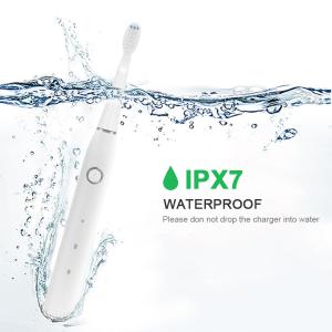 China Slim Portable Sonic Automatic Toothbrush 500mAh Wear Resistant factory