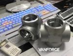 Hardness Stainless Steel Forged Steel Pipe Fittings NPT Threaded End Cap
