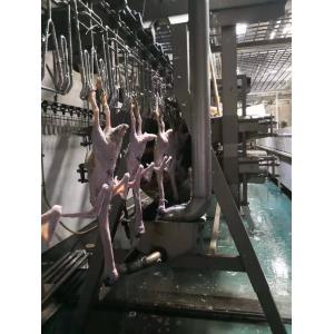 2000BPH Poultry Butchering Equipment SS 304 Automatic Chicken Slaughter Line