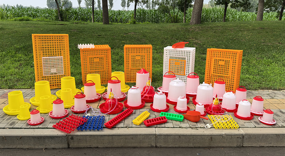 New Arrivals 6Kg/9Kg Poultry Auto Chicken Feeder With Legs