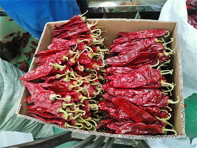 1 Year Shelf Life Sweet Paprika Pepper Dried Red Chilli Additive For Food Ingredient