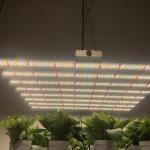 Smart Dimming Full Spectrum 50000h Commercial LED Grow Lights