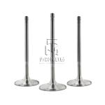 exhaust valve intake valve 04159139 04153697 04231804 04159140 04153455 4159139