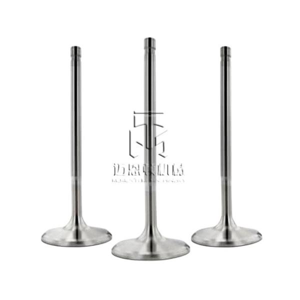 exhaust valve intake valve 04159139 04153697 04231804 04159140 04153455 4159139