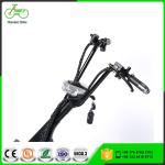 XWZ-H002 1000W 60V 12Ah Lithium Battery Electric Scooter Citycoco for City