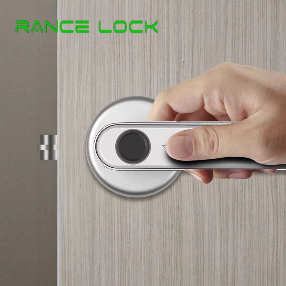 Remote Control Fingerprint Door Lock Security Fingerprint Passcode Lock With Tuya and TThotel APP