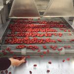 220V 380V Air Drying Machine For Fruit And Vegetable Food Potato Chips