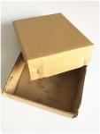 Np Butt Surface Mount Lift Off Hinges Plastic Pp Bags Packing Loose Pin