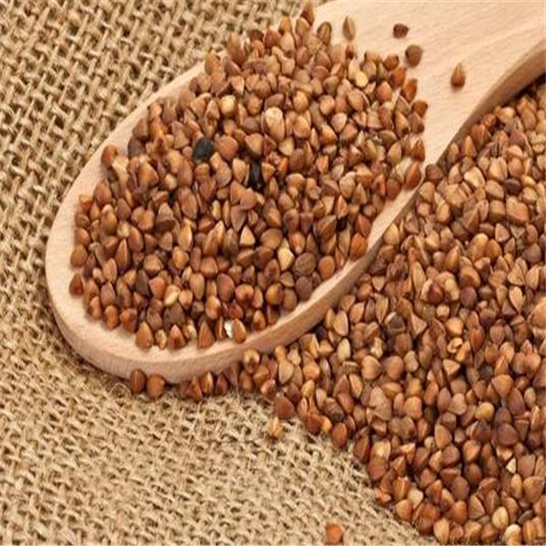 China Mobile Circulation 10m3 11000m3/H Batch Grain Dryer factory