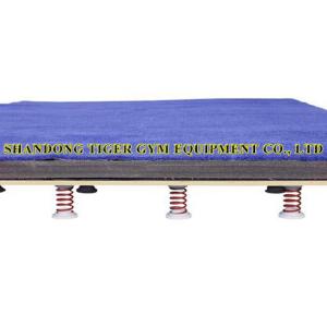 China Gymnastics Equipment Gymnastics Tumbling Board factory