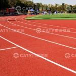 Factory Price Anti-Aging Athletic Running Track Indoor and Outdoor Synthetic