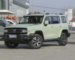 Diesel Or Gasoline Car 2023 Tank300 2.0T City Model Must Version Gasoline
