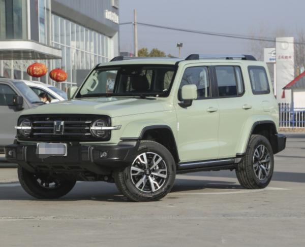 Diesel Or Gasoline Car 2023 Tank300 2.0T City Model Must Version Gasoline