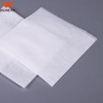 100% Polyester 25cm Disposable Industrial Cleanroom Non Woven Spunlace Polyester