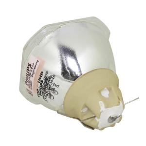 China 215Watt 54X54mm Epson Projector Bulbs ELPLP90 for Business factory