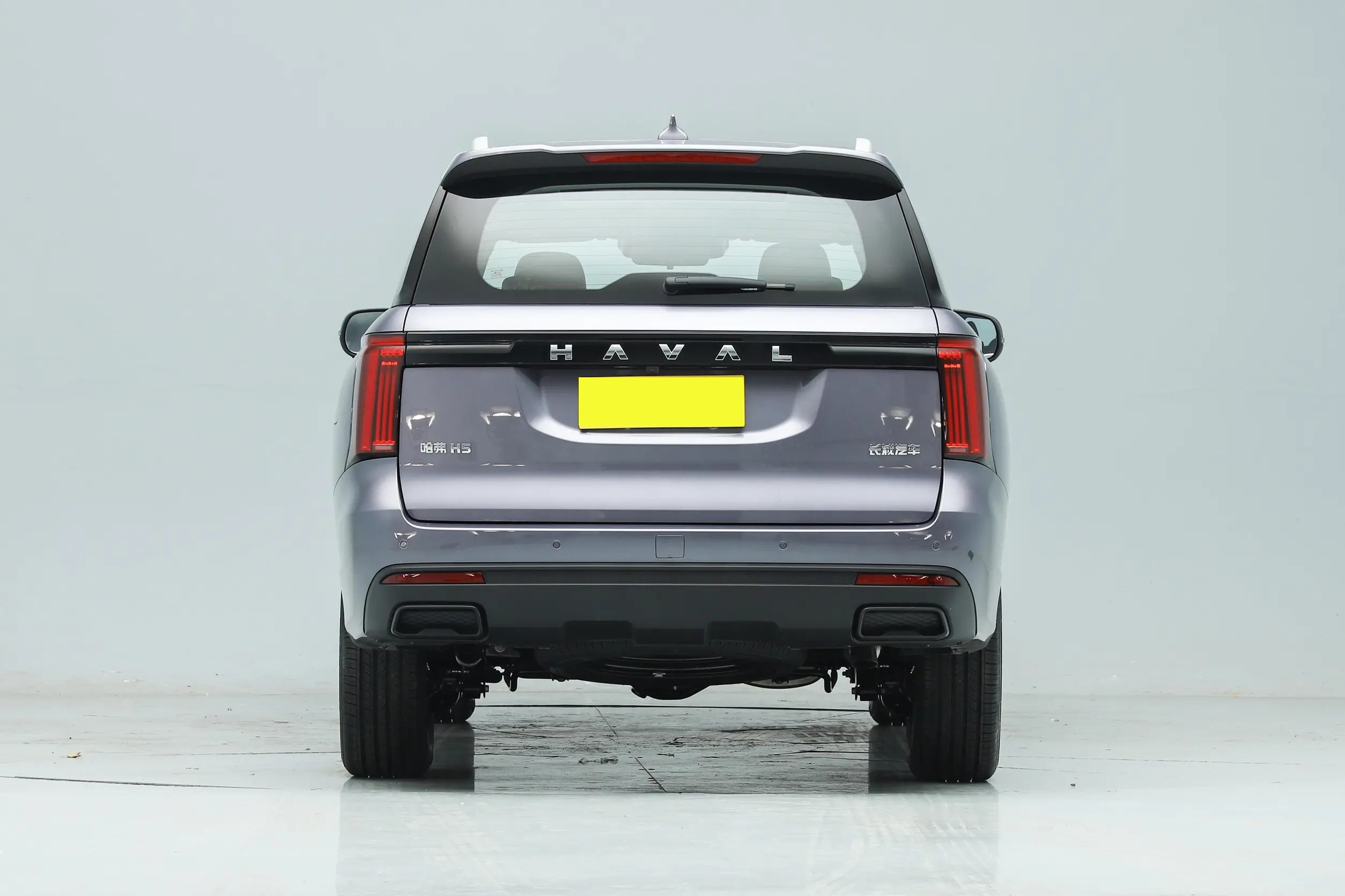 SUV 2023 Great Wall HAVAL H5 Electric Diesel Engine Leather Turbo Multi-function Automatic Tank 500 Car R17 LED Camera