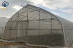 Commercial Large Agricultural Greenhouse UV Film Vegetable Hydroponic Greenhouse
