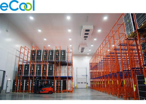 China 12 Meter High Frozen Food Cold Room Warehouse /Custom Chilled Storage For High Racking System factory