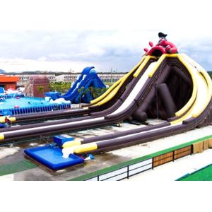 Creative Large Inflatable Dry and Wet Slides With Quadruple Stitching