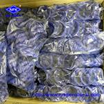 Taiwan Hydraulic Rod Seals DINGZING DZ Pu Rod Seal UN Hydraulic Cylinder Seals