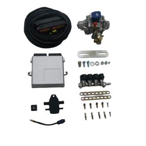 China 4 Cylinder Injector Rail 56 Pin ECU CNG Conversion Kits For GNV Auto Natural Gas Equipment factory