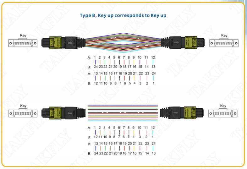 Customized MPO/MTP-MPO/MTP Patch Cord Low Insertion Loss 3.0mm Male Female